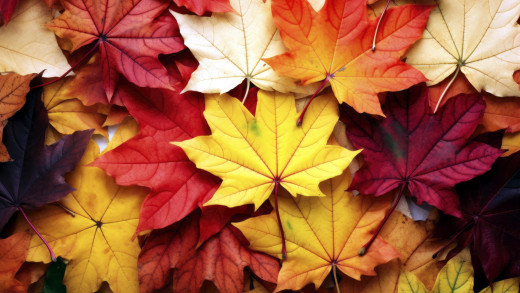 1718708 (a): :2560x1440